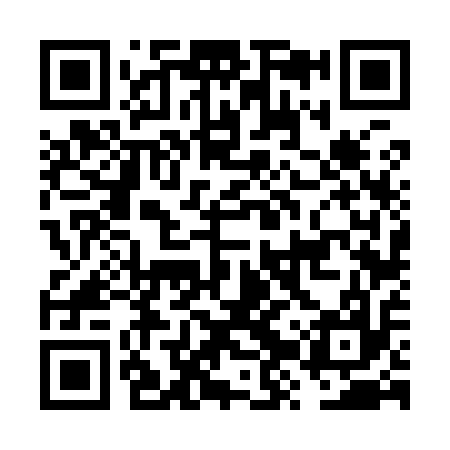 QR code for FZV917