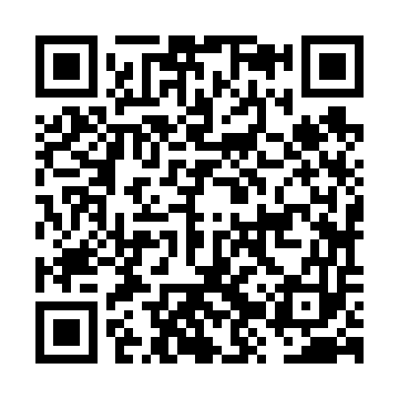 QR code for FZZ653