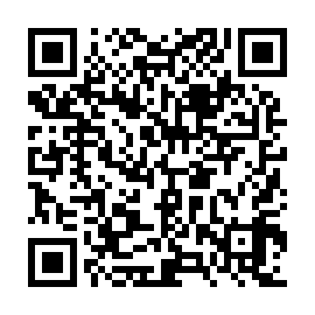 QR code for FZZ919