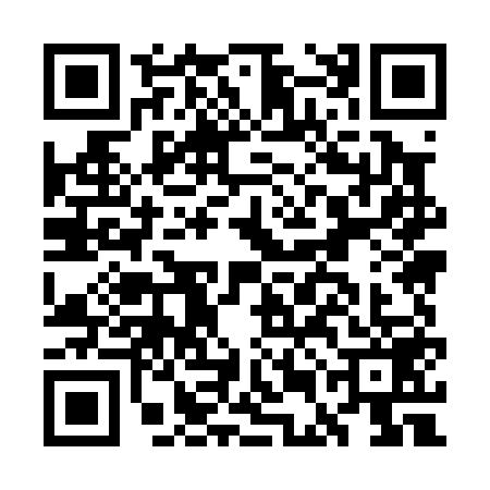QR code for GEM0597