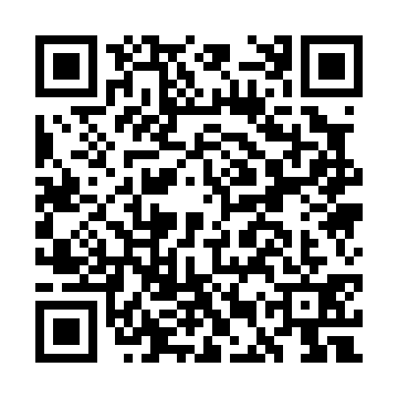 QR code for GEQ0313