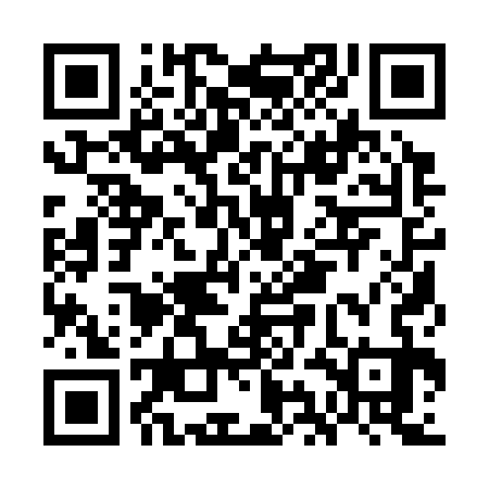 QR code for GIA333