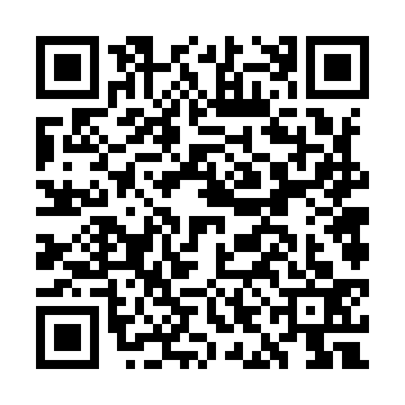 QR code for GIF9333