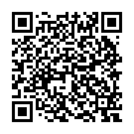 QR code for GII293