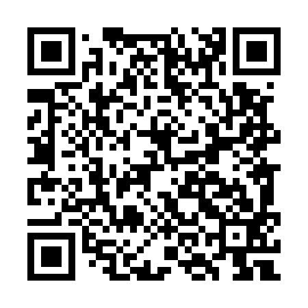 QR code for GOL593