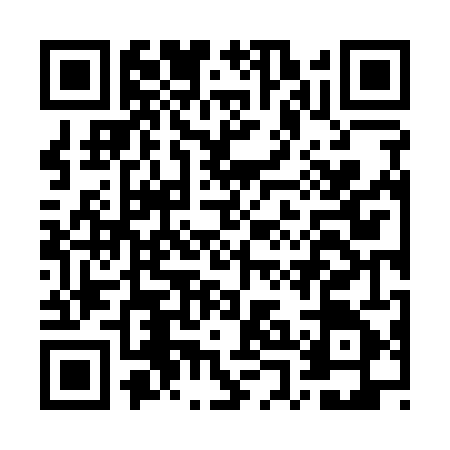QR code for GPN1453