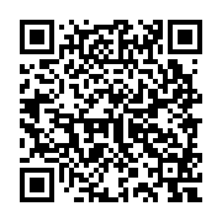 QR code for GPX384