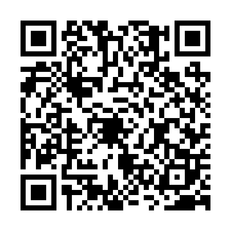QR code for GSG2020