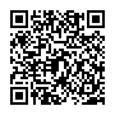 QR code for GSX0379