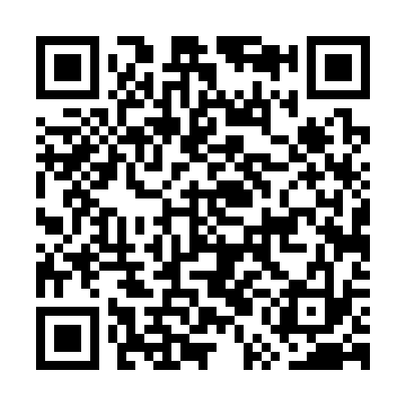QR code for GUD333