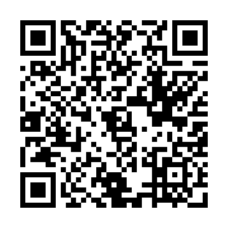 QR code for GUE6393