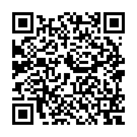 QR code for GUI2933