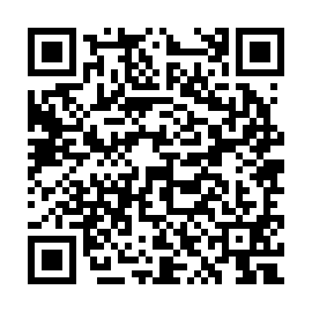 QR code for GYJ2917