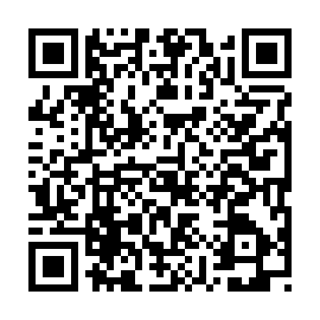 QR code for GYY2978