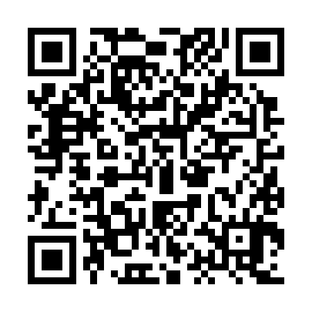 QR code for HAF384