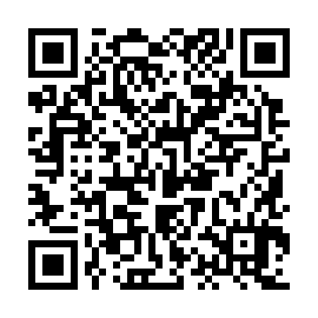 QR code for HAI384