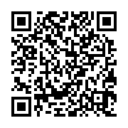 QR code for HDG303