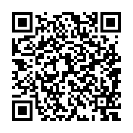 QR code for HDN3971