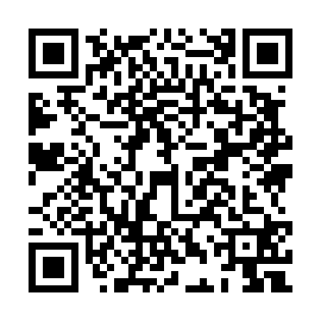 QR code for HDY4209
