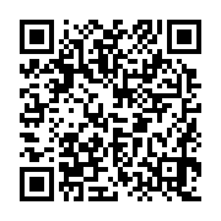 QR code for HEN370