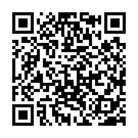 QR code for HGX738