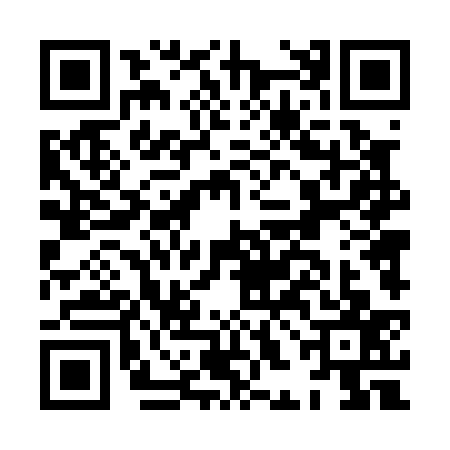 QR code for HHD0379
