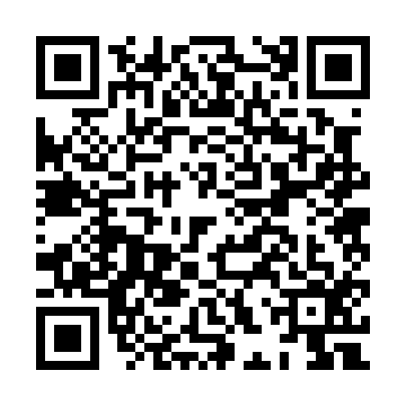 QR code for HHR0161