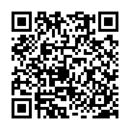 QR code for HIN7273