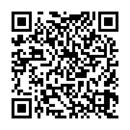 QR code for HIN969