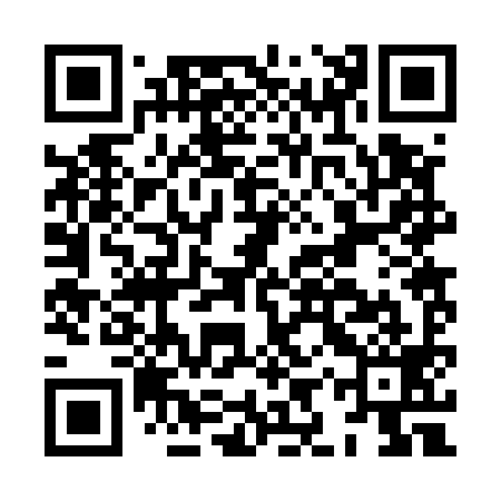 QR code for HIR599