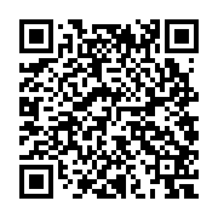 QR code for HJV302