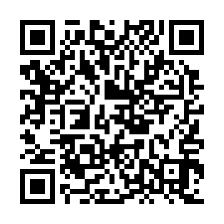 QR code for HLT313