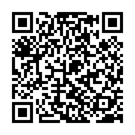 QR code for HNM009
