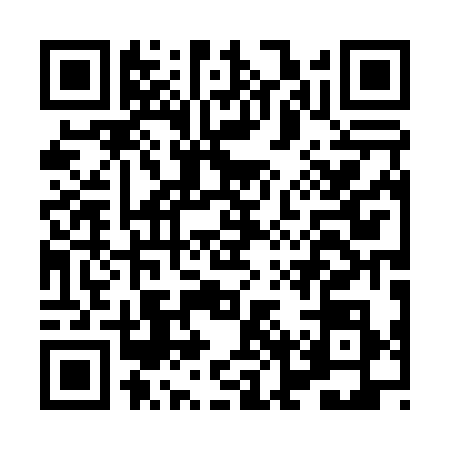 QR code for HNP0388
