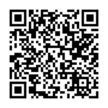 QR code for HNY613