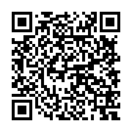 QR code for HON868