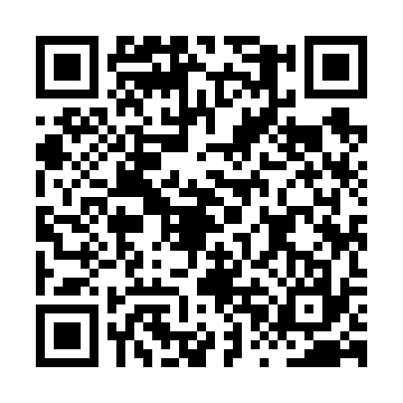 QR code for HPI6377