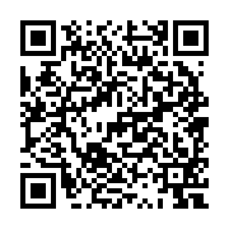 QR code for HSP2933