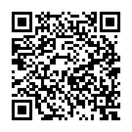 QR code for HUA2979