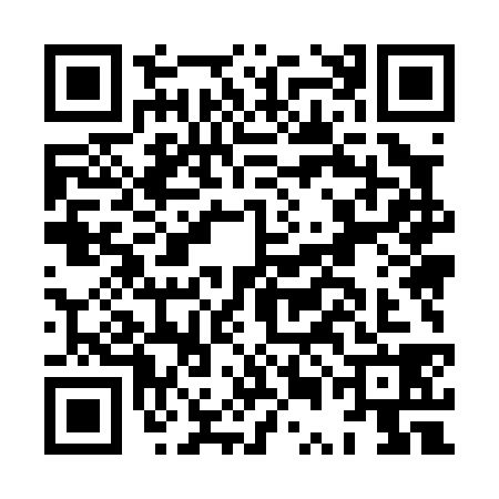 QR code for HUM0383