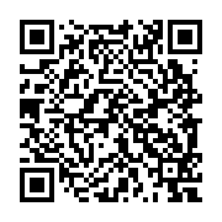 QR code for HXL393