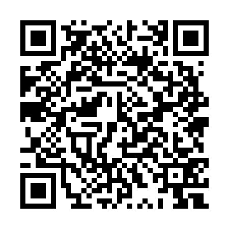 QR code for HXM6739