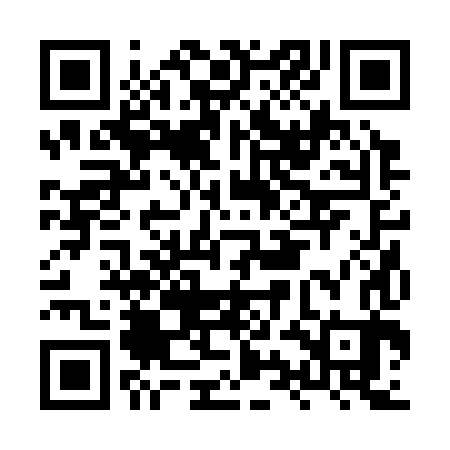 QR code for HYB383