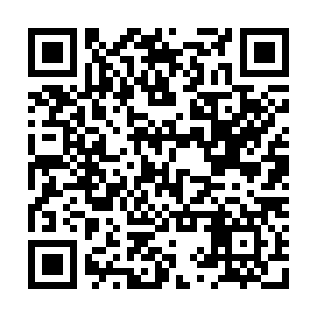QR code for HYV387