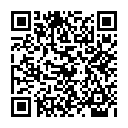 QR code for HYV6256