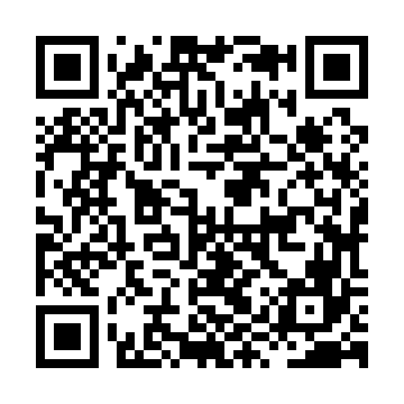 QR code for HYZ166
