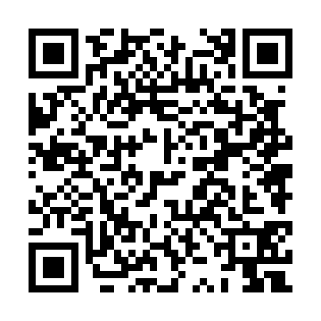 QR code for HZN0309