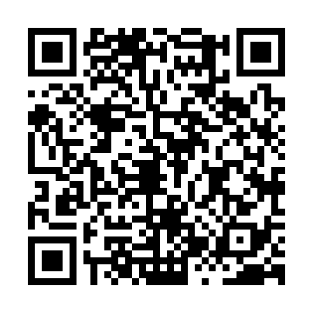 QR code for HZX3384