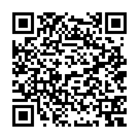 QR code for IAU3308