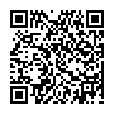 QR code for IAV317